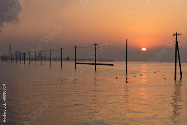 Fototapeta 夕暮れの江川海岸