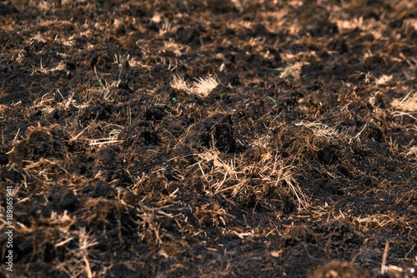 Fototapeta Ploughed soil in the spring as the background