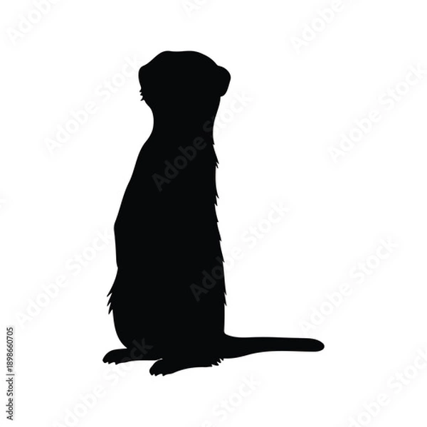 Obraz Meerkat silhouette icon vector flat design.