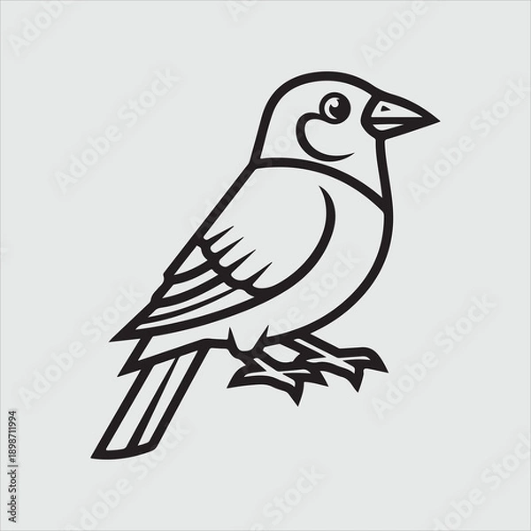 Obraz Beautiful bird vector design