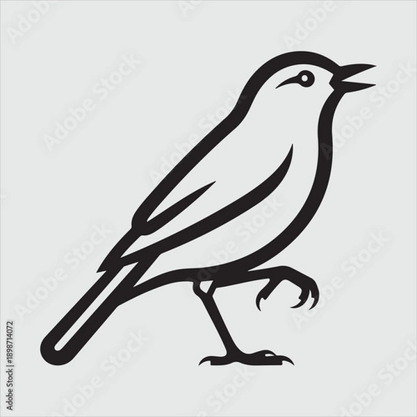 Obraz Beautiful bird vector design