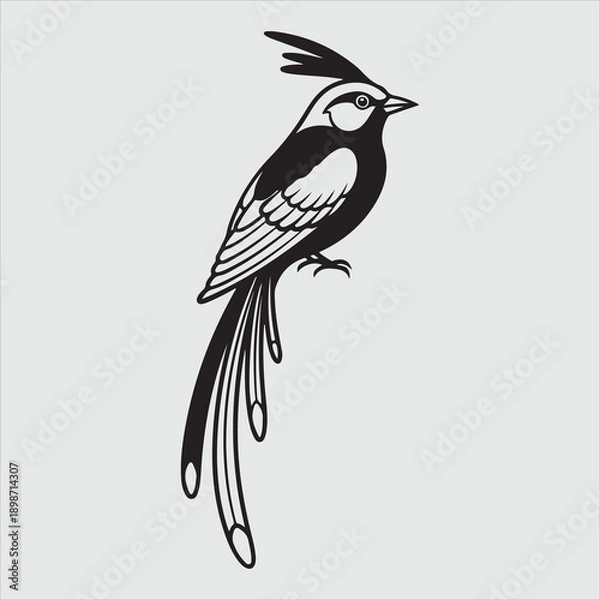 Obraz Beautiful bird vector design