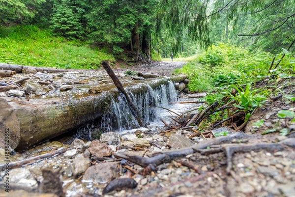 Obraz Small Waterfall Over Logs on Forest Path