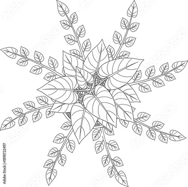 Obraz Floral Snowflake Outline
