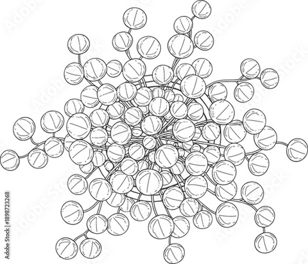 Obraz Lollipop Network