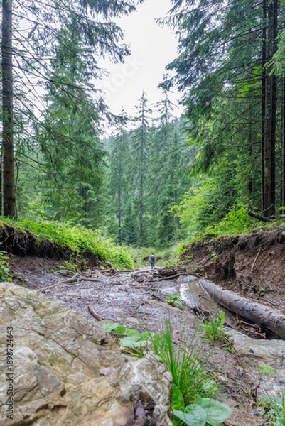 Obraz Hiker Descending Eroded Mountain Forest Trail