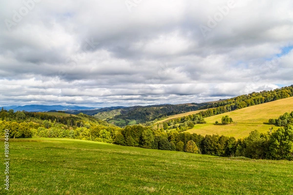 Obraz mountain forest summer 