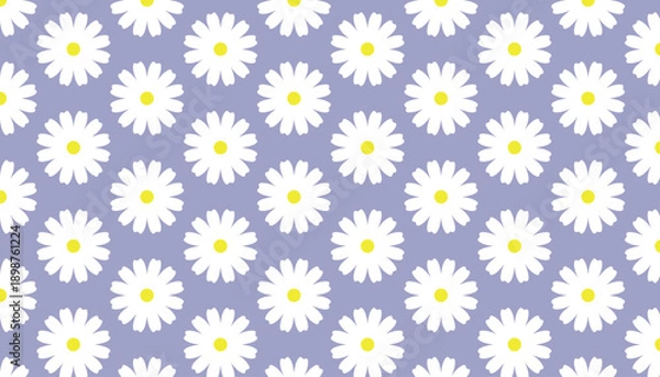 Obraz Seamless White Daisy  Wildflower Pattern, Retro Floral Vector Background.
