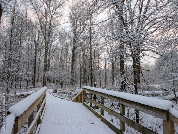 Obraz snow covered bridge