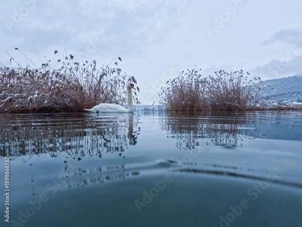 Obraz winter landscape with lake