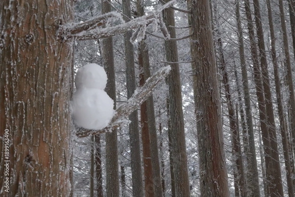 Obraz 三峰山の霧氷