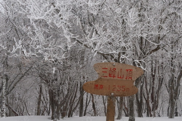Obraz 三峰山の霧氷