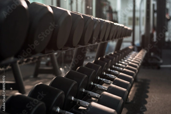 Fototapeta Background image of straight rows of dumbbells on equipment stand in modern gym, copy space