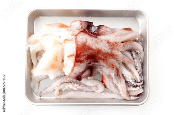 Obraz セーイカ下足