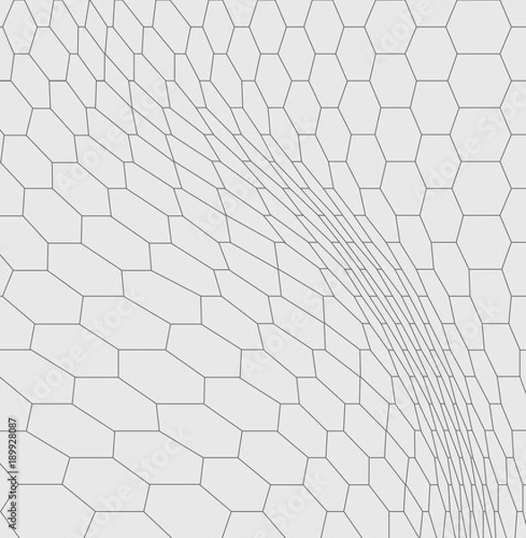 Fototapeta snake skin graphic linear vector texture