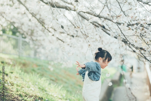Obraz 桜の下の子ども
