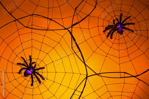 Obraz creepy spiders