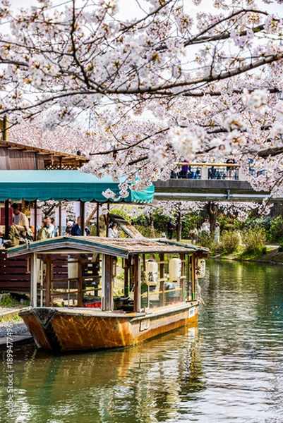 Obraz 伏見十石舟 桜のある風景