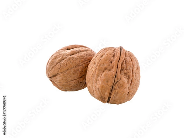 Obraz Walnuts isolated. Unpeeled walnuts with shell, close-up.