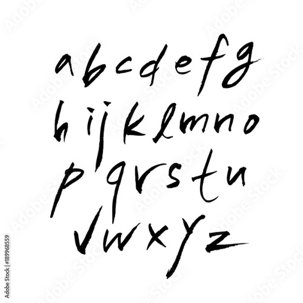 Fototapeta 벡터 문자 / 손으로 쓴 글씨체