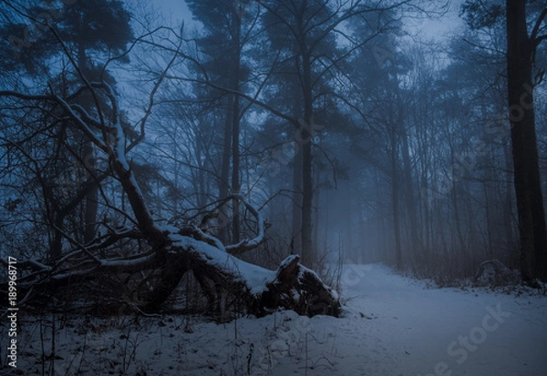 Obraz Old tree on ground ai misty forest with pathway