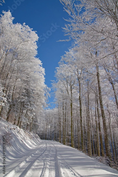 Obraz Route de montagne enneigée