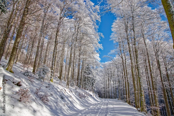 Obraz Route de montagne enneigée