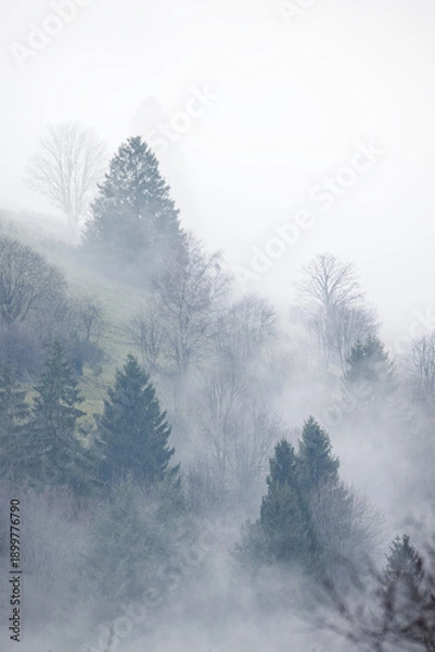 Obraz Brume dans les vallées