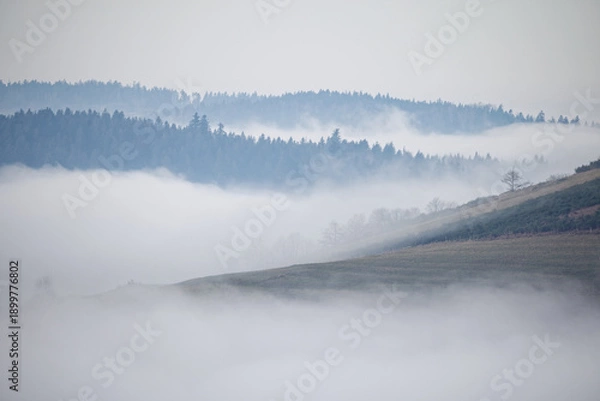 Obraz Brume dans les vallées