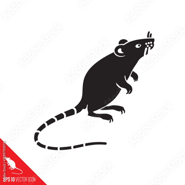 Obraz Rat standing on rear legs vector icon