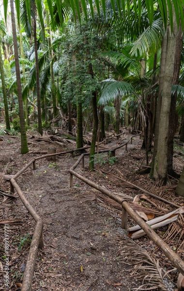 Obraz Path into the woods in a park