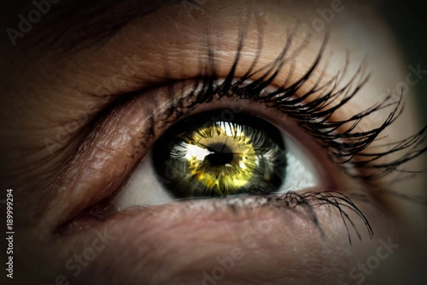 Obraz uważaj na intensywne