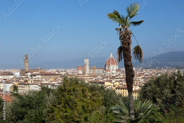 Obraz Florence - City Skyline