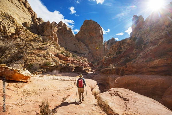 Obraz Hike in Capitol Reef
