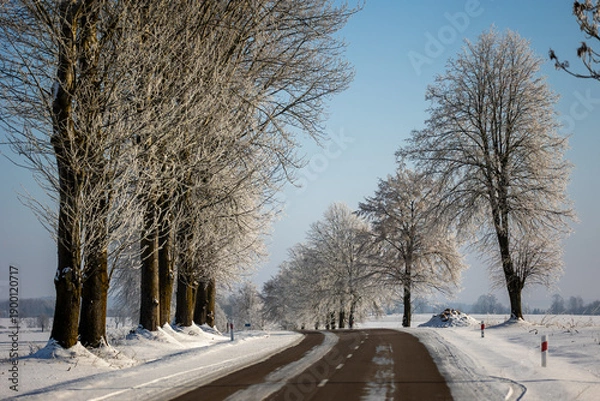 Obraz winter forest landscape with snow