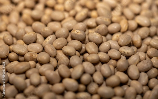 Obraz close up of navy beans background