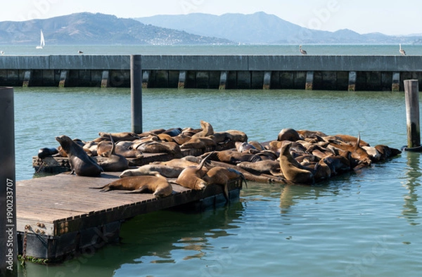 Obraz pier in the sea