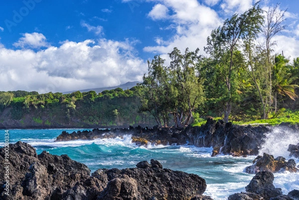 Obraz Ke'anae Point Crashing Surf