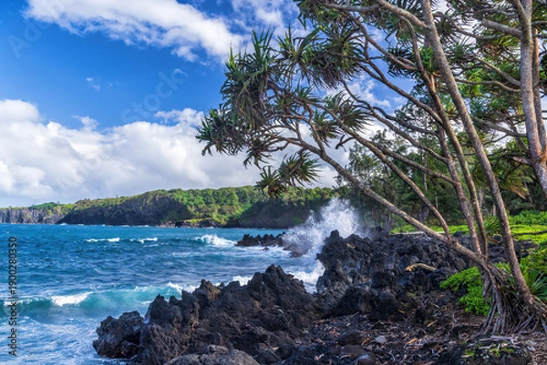 Obraz Hala Trees on Ke'Anae Point