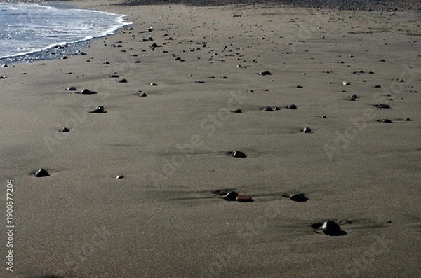 Obraz 冬の浜辺。誰も居ない海を独り占めしている私。至上の解放感を味わっている。潮が引いたり寄せたり、そのたびに宝石のような小石や貝殻が、行ったり来たり波打ち際をさまよっている。眺めているだけで楽しい気分になった。幾分傾きかけた太陽の光が砂浜を照らしている。砂が作る不思議な紋様。あたかも地球上の広大な平原を眺めているようだ。時を忘れて浜辺で戯れている私。至福の時。