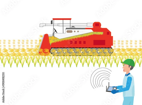 Fototapeta 米の収穫作業をしている農家