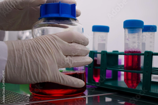 Fototapeta Hands on a cell medium in a hepa filtered cabinet 2