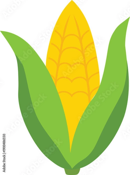 Fototapeta Fresh corn with leaves flat vector illustration