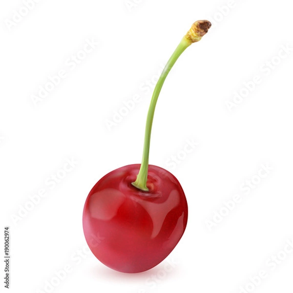 Fototapeta Sweet Vector 3D Realistic Cherry, isolated on white background.