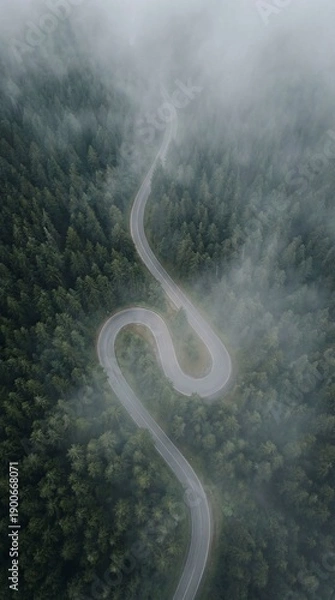 Obraz Winding mountain road through misty forest landscape