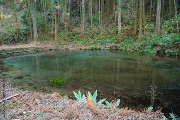 Obraz 宮崎県えびの市の陣の池　小池