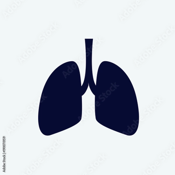 Obraz lungs icon, Vector illustration. organ icon vector