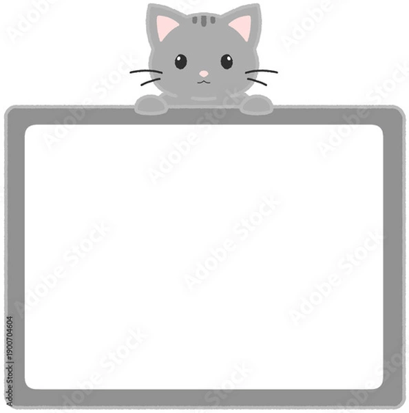 Obraz 회색 고양이 프레임