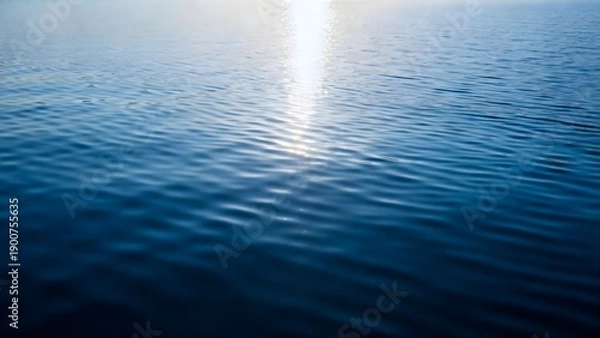 Obraz SunlightReflectingOnWater