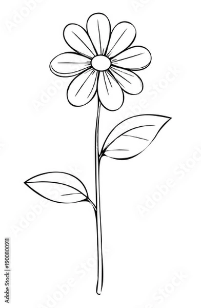 Fototapeta Kwiatek rysunek